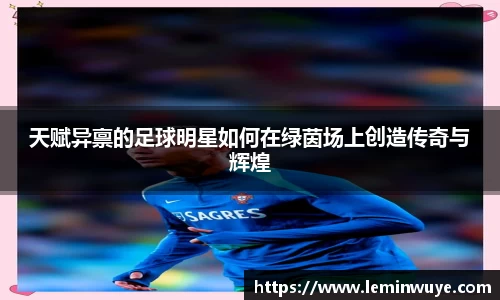 天赋异禀的足球明星如何在绿茵场上创造传奇与辉煌